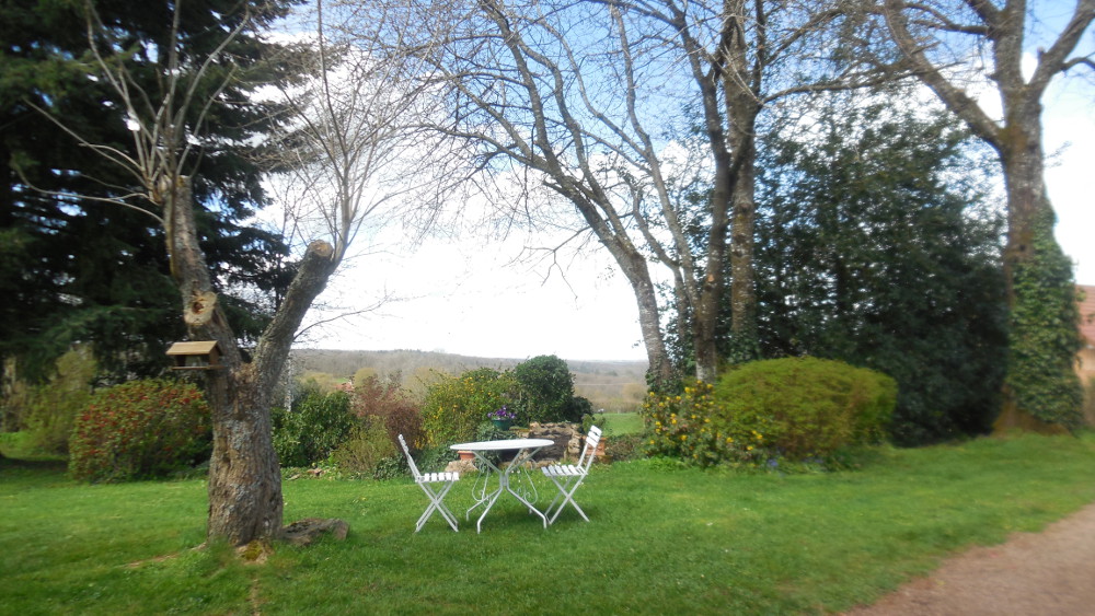 jardin les fougères