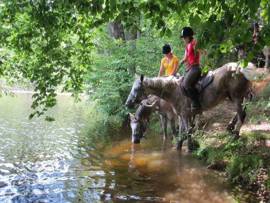 randonnée à cheval